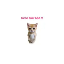 tell me!!