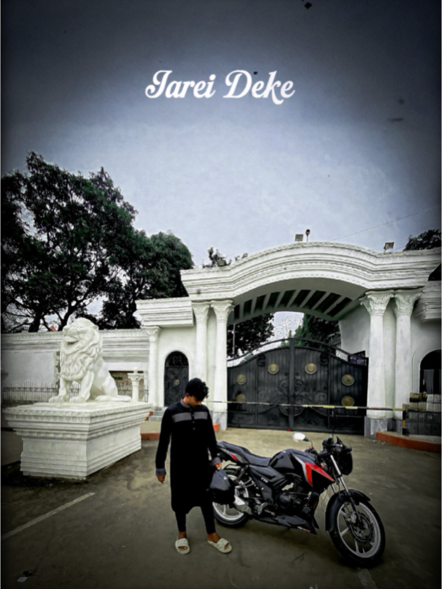 Cover Picture