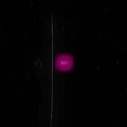 TRENDING EDIT TRY