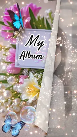 My Album 