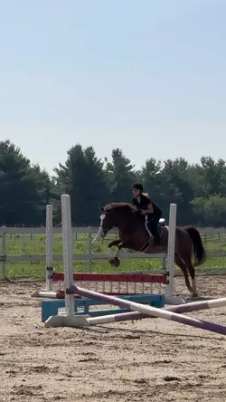SCOPEY PONY ๐ป