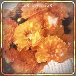 Love is orange!! π§‘