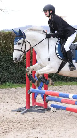 Cavalière