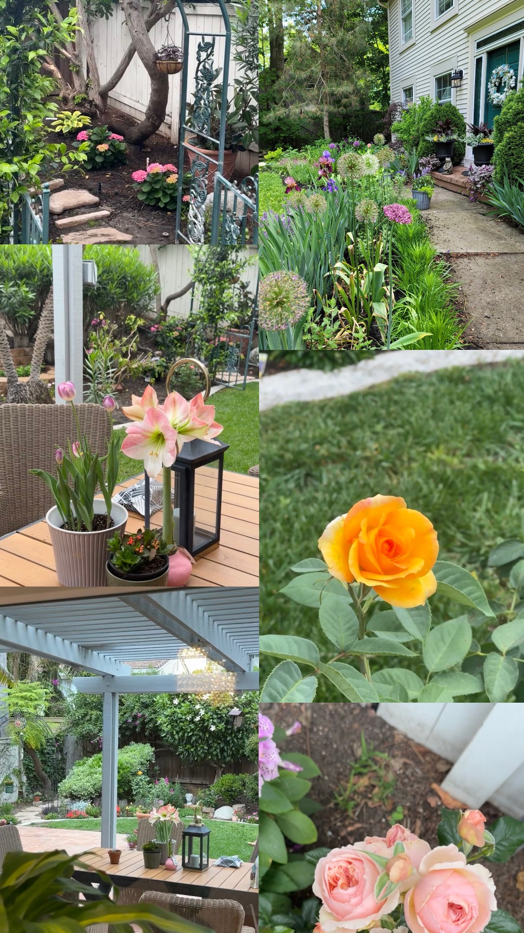 Gardening