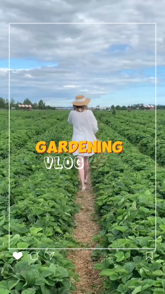 Vlog de jardinería