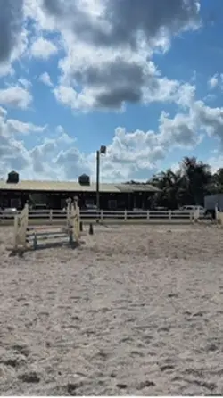 I luv this horse sm!