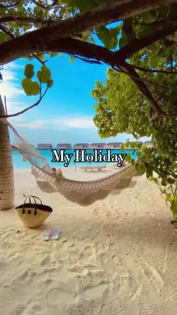 My holiday