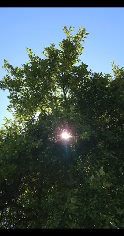 ทิวทัศน์