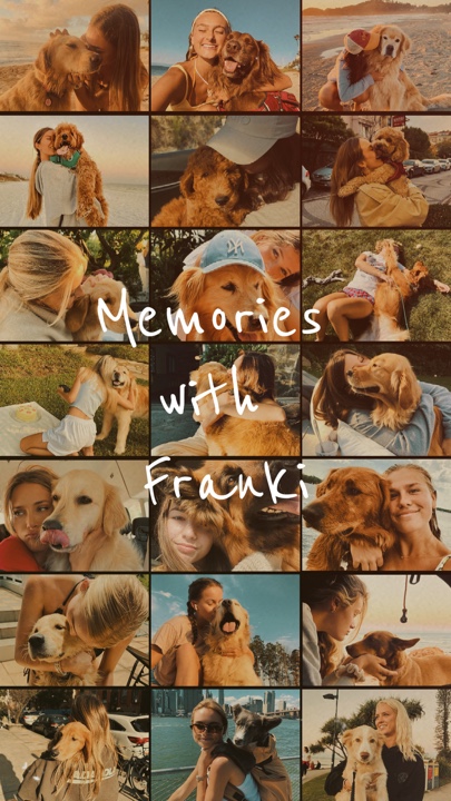 Souvenirs avec animal de compagnie