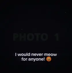 Trending Edit New