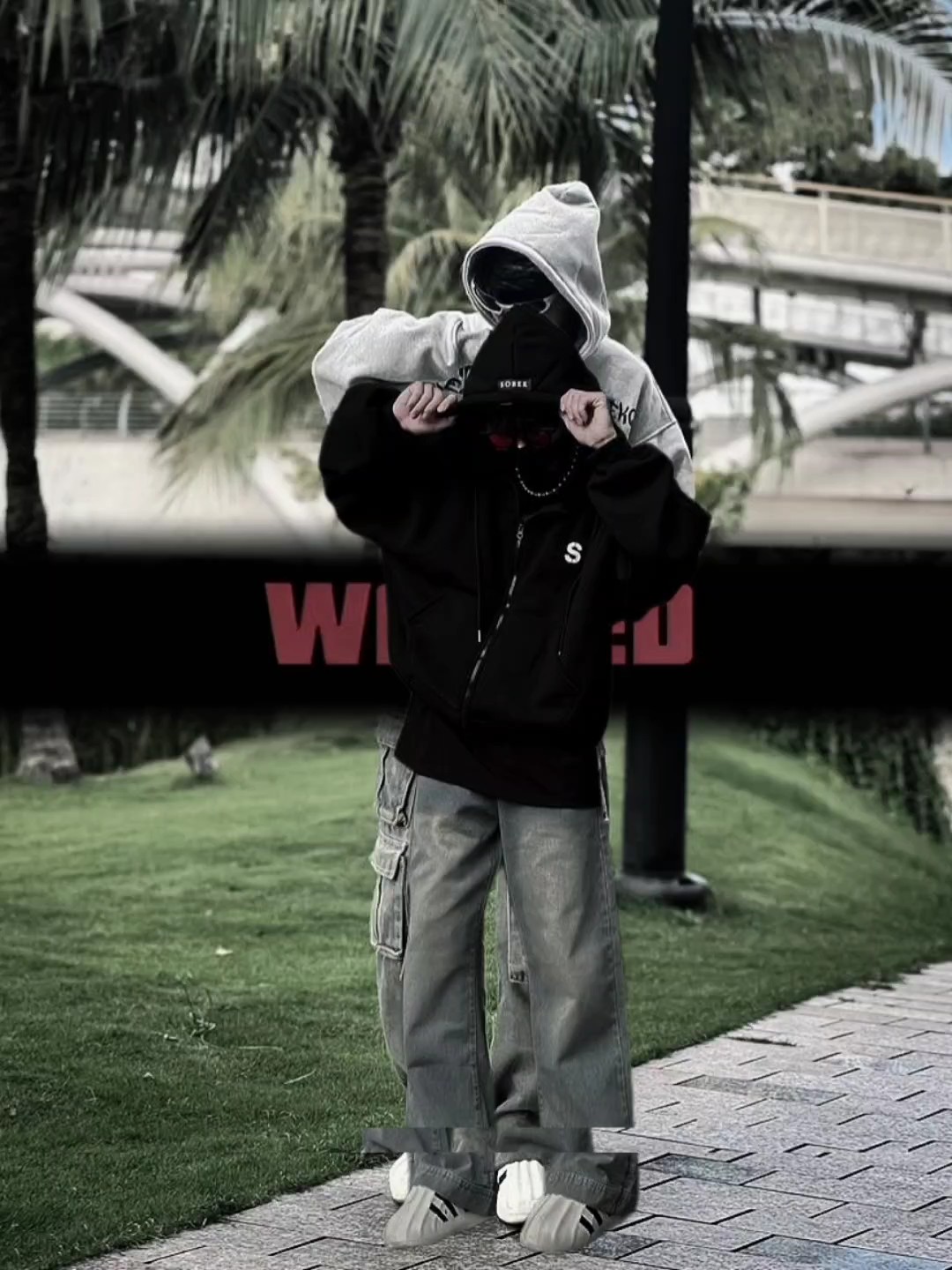 Cover Picture