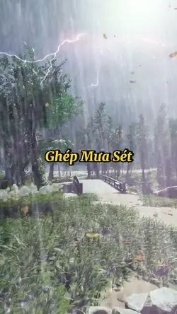 Ghép Mưa Bão