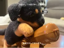 Pro無料ありがたい。
