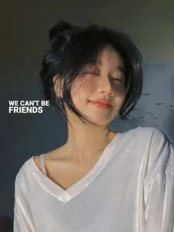 we can't be friends 