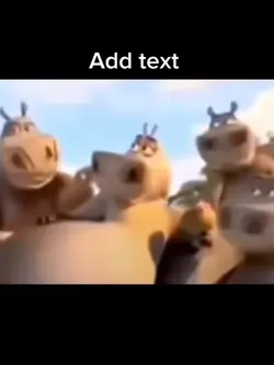 Moto moto likes u