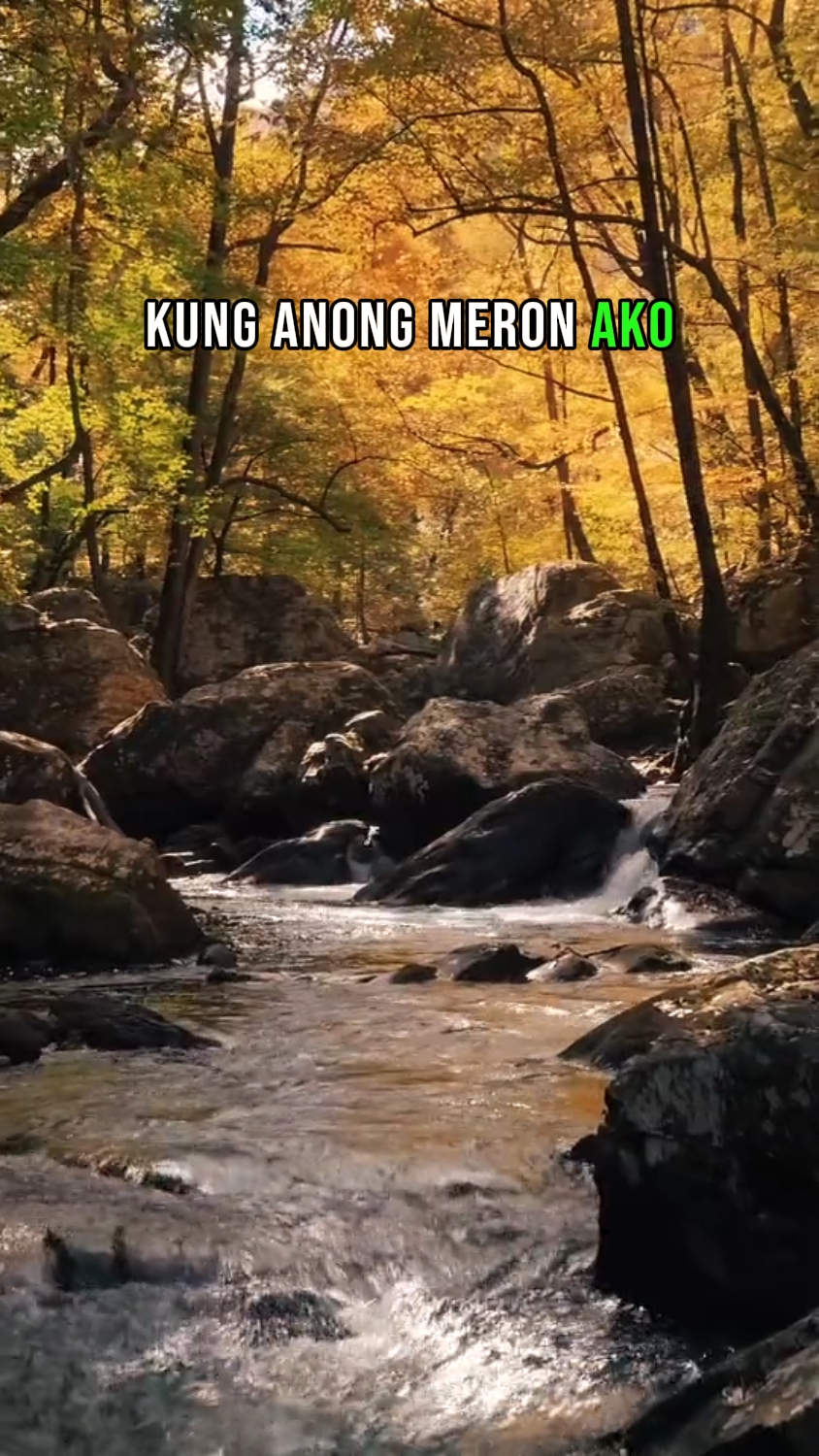 masaya qng anong mer