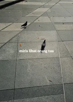 selamat hari raya