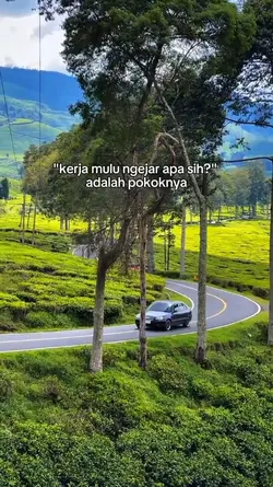 Kerja mulu ngejar ap