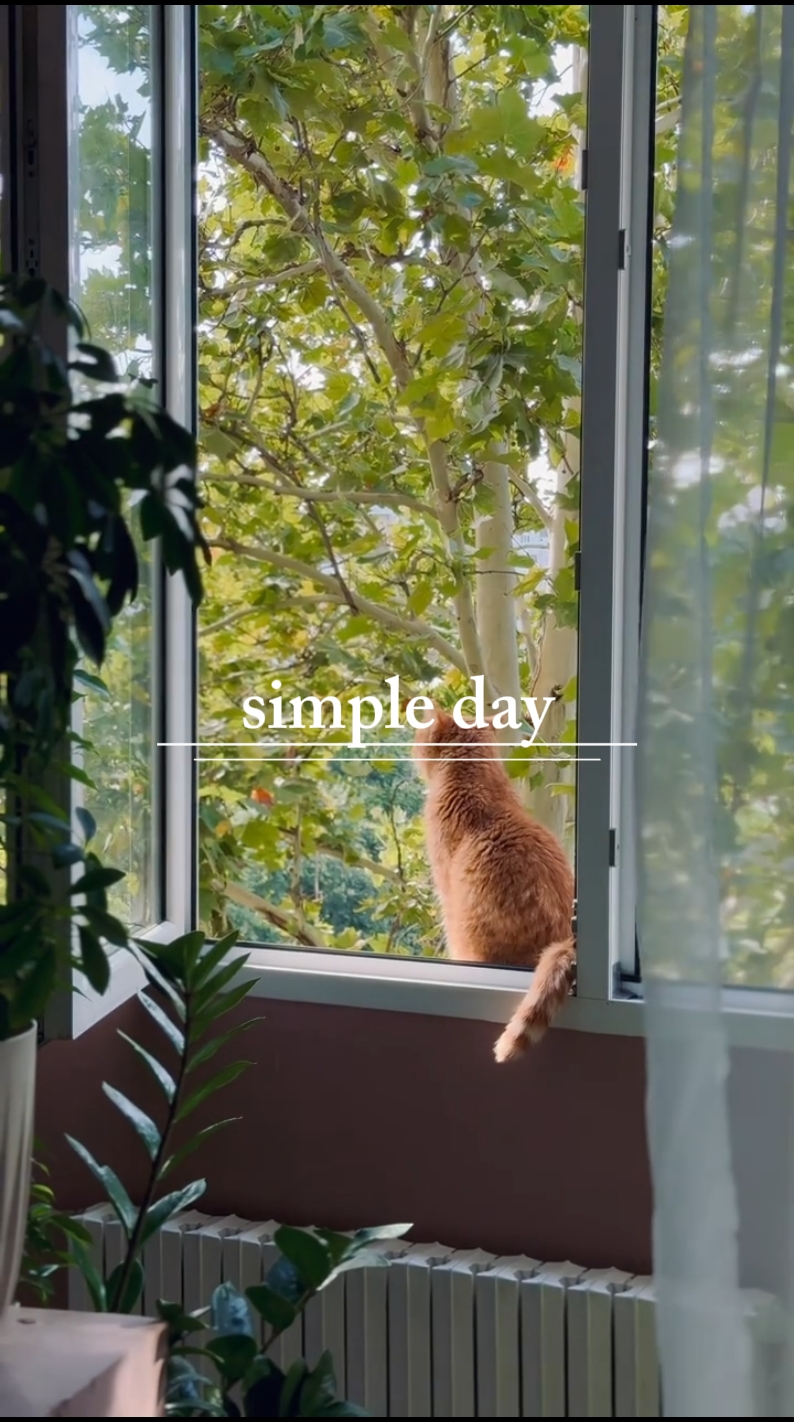 Día sencillo.