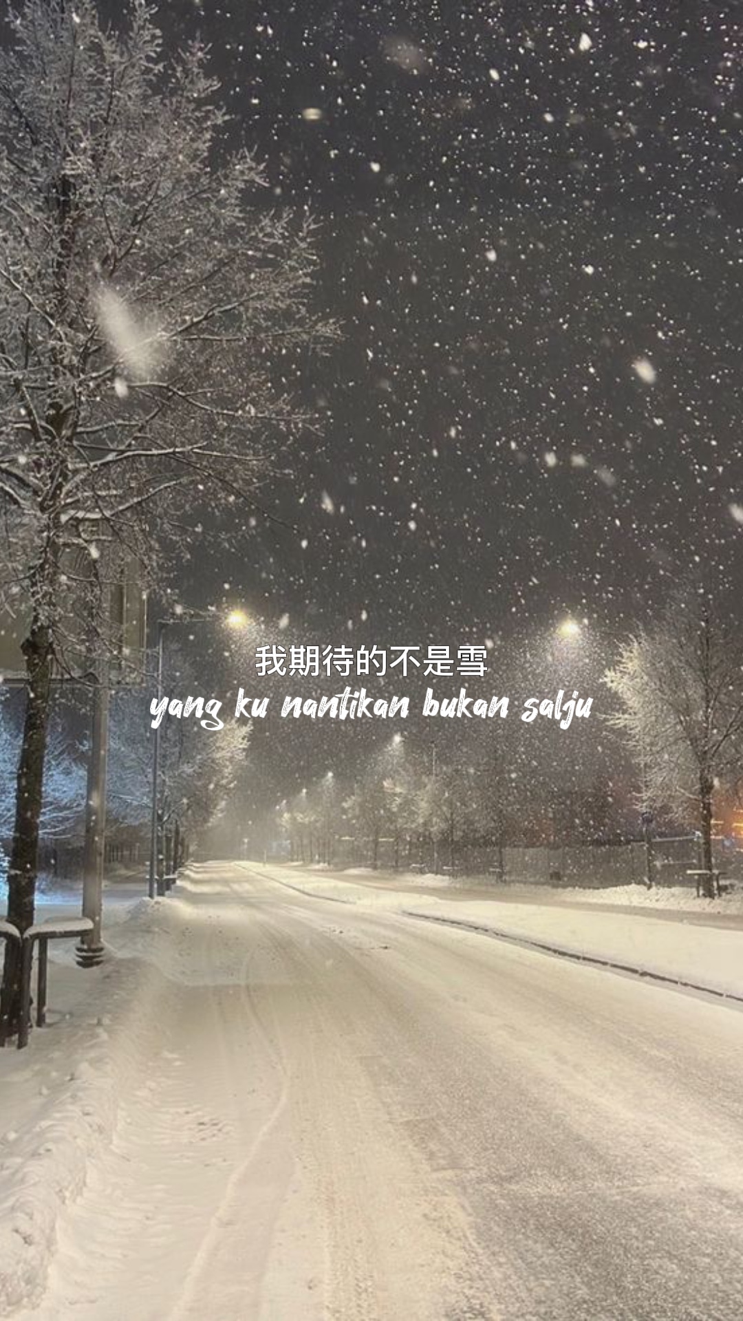 我期待的不是雪