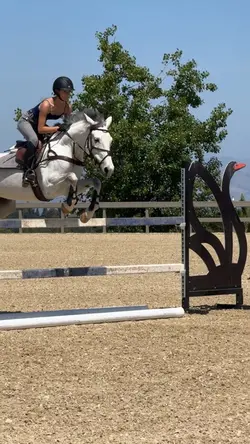 slo mo!‼️⚠️FAKE⚠️‼️