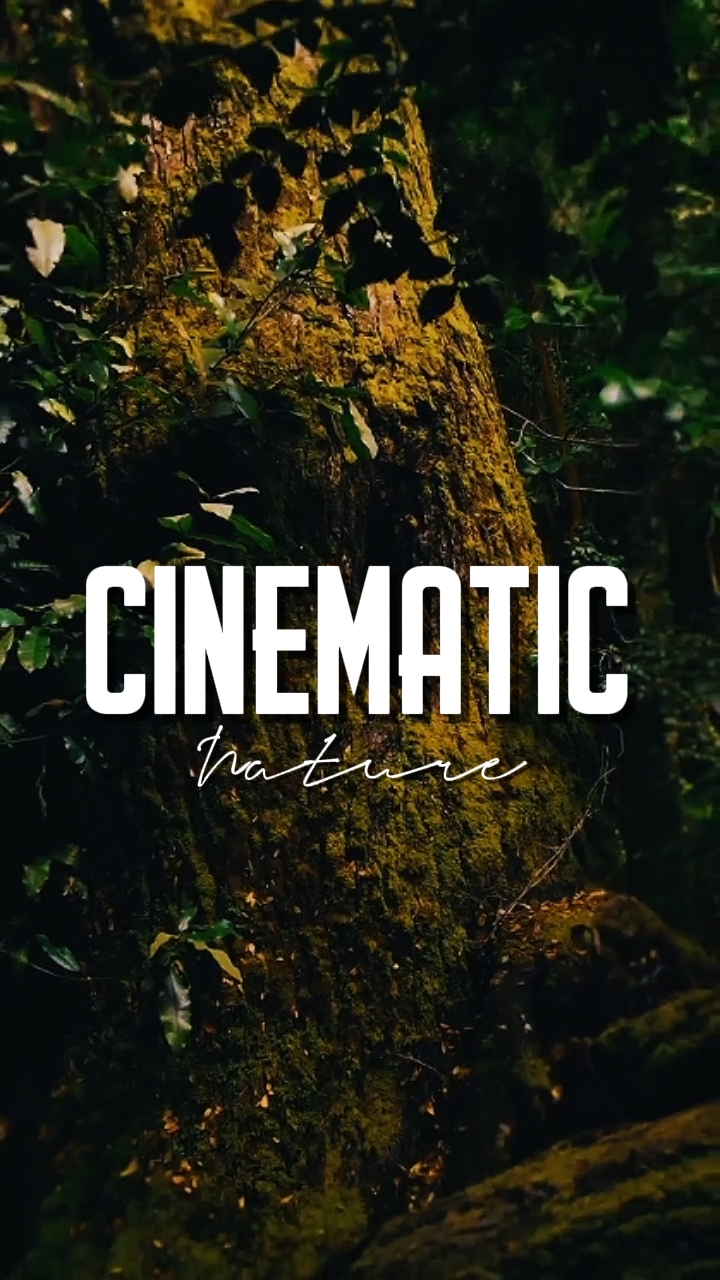 CINEMATIC NATURE 
