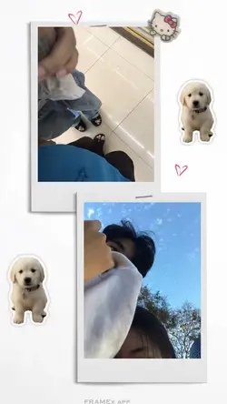 🐷🐷