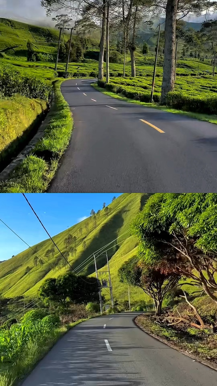 2 video collage 