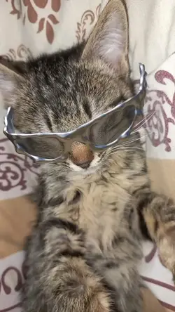 eu sou é feia kkk