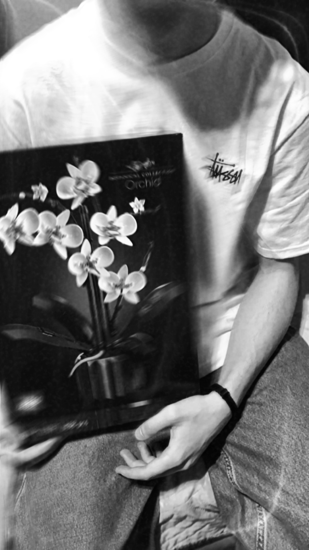 Cover Picture