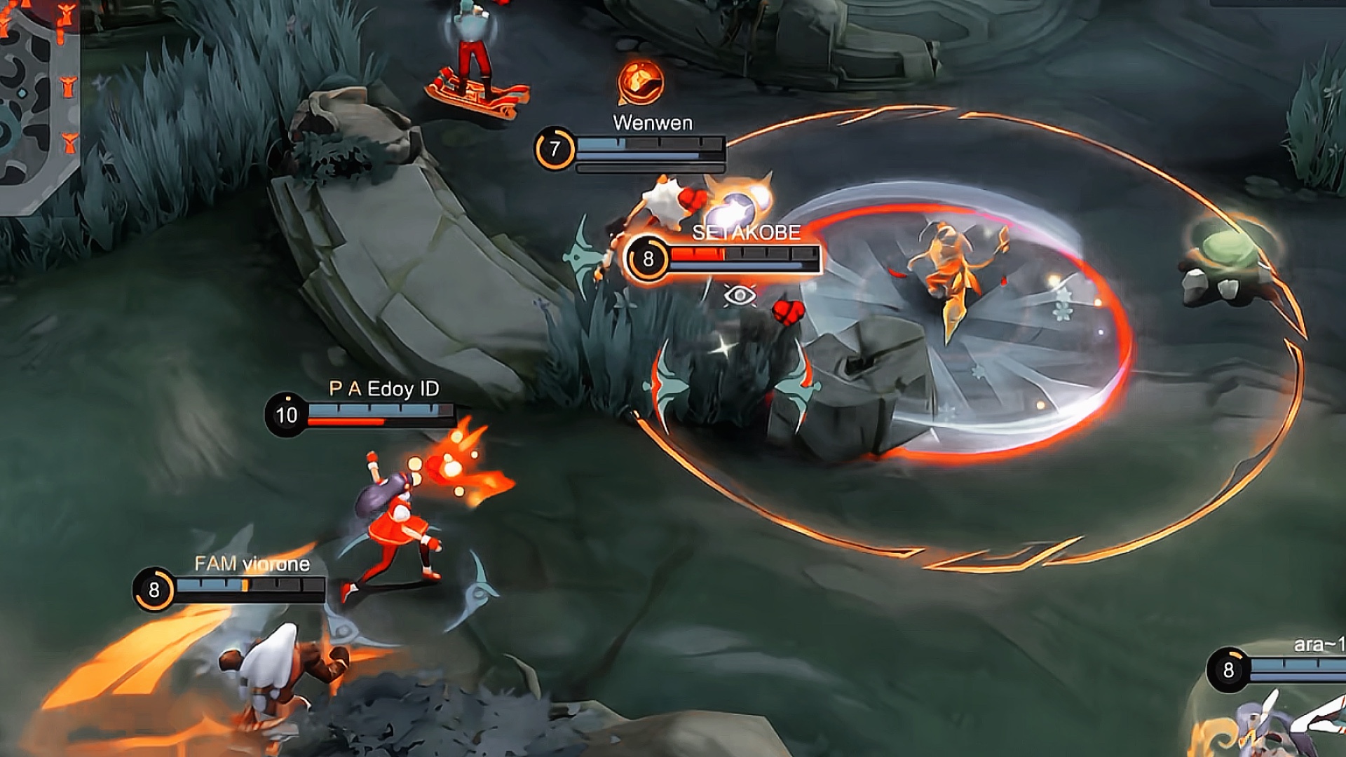 Cover Picture