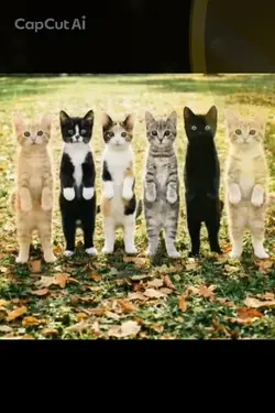 みんなでダンス