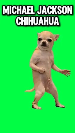 MICHAEL JACKSON DOG