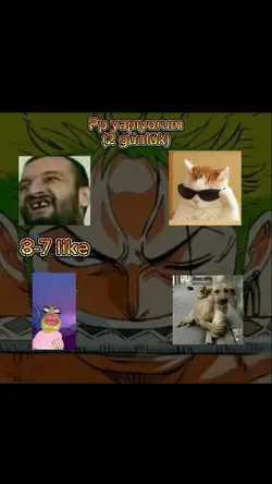 Pp yapıyorum
