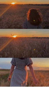 3 videos sunset