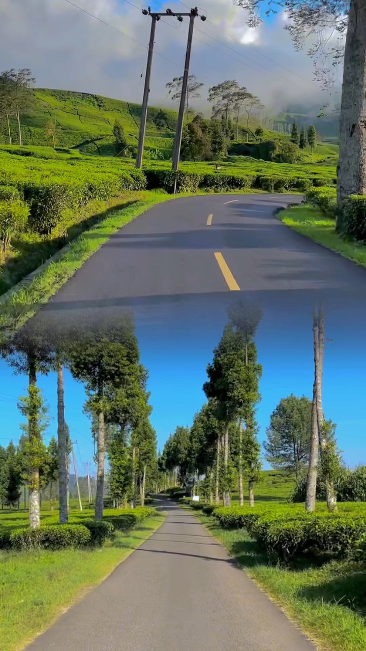 2 vidéo 1 image 