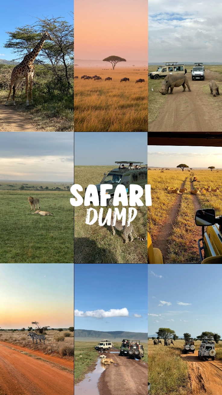 safari dump