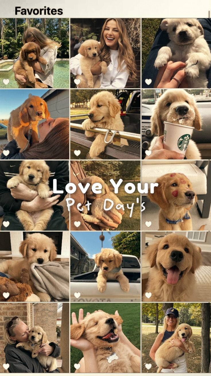 Ama el día de tu mascota
