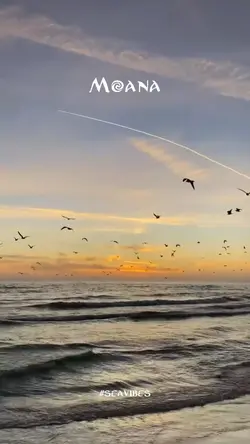 Moana Sea Vibes