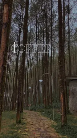 Coffee time
