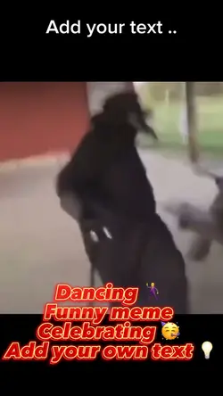 Dancing meme 🕺🥳