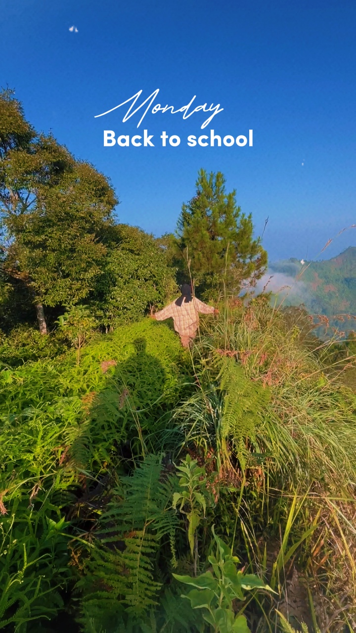 Back to school 