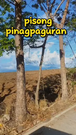 pinagpaguran mo
