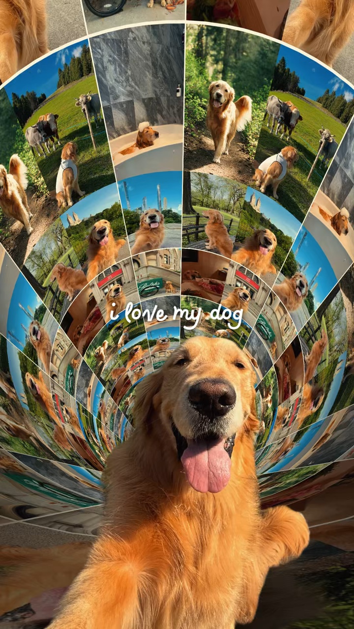 Eu amo meu cachorro
