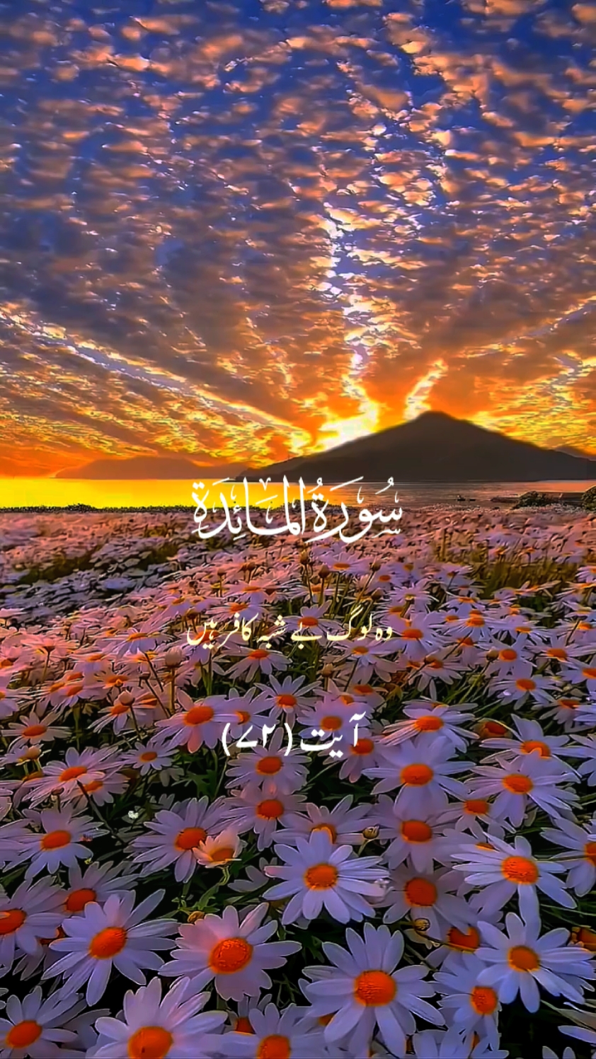 Surah Al Maidah 