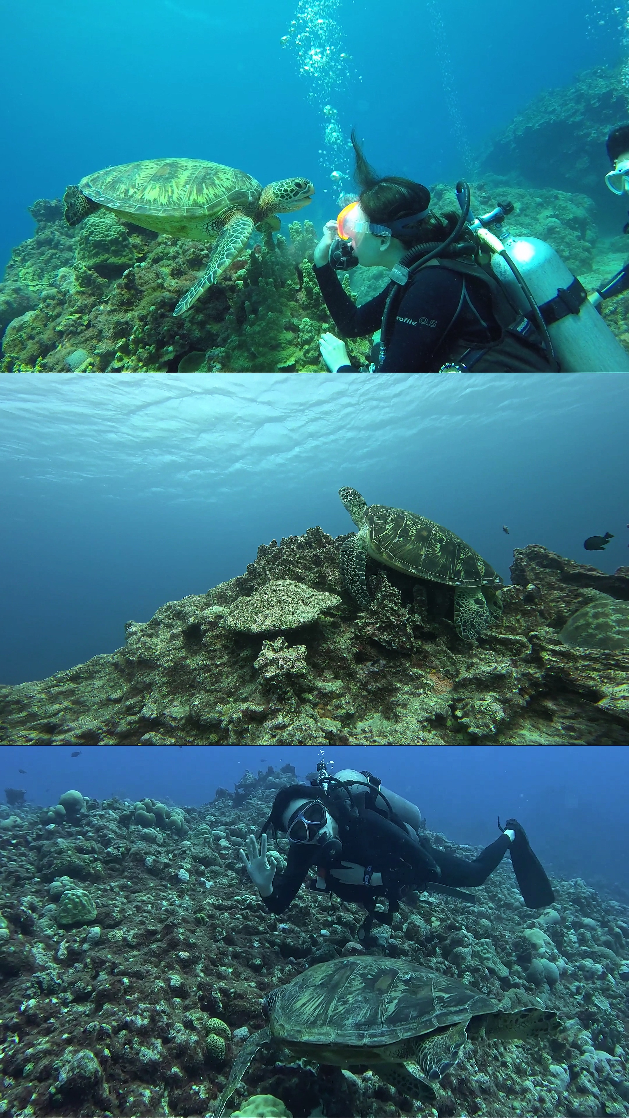 Vidéo sous-marine