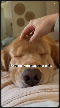 Eu nunca vou esquece