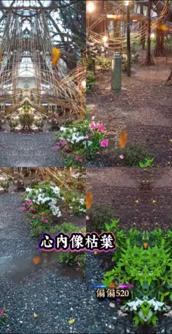 一葉知秋