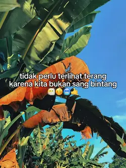 foto live kata kata