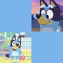 bingo y